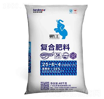 �����͏ͺϷ���25-6-4-����-������