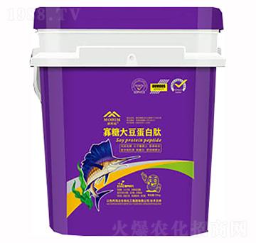 ���Ǵ󶹵�����-΢�������-�����S