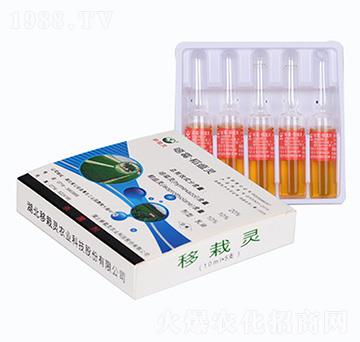 �����`-�����`�r(n��ng)�I(y��)