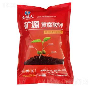 �VԴ�S�����-�ӵ·�-��Ⱥ�r(n��ng)�I(y��)