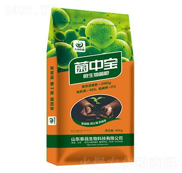 ���Ќ�΢�������-��̩����