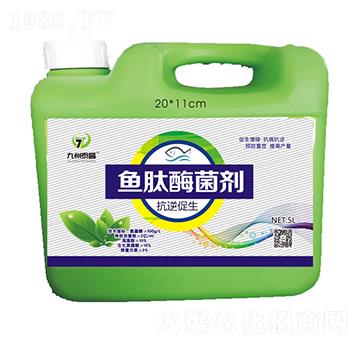 �~(y��)��ø���������������-��̩����