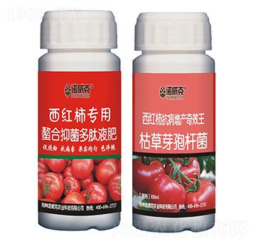 ���t����(zhu��n)�������־�����