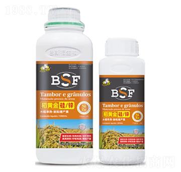 ���S���/�\-��˹��