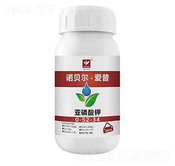 �������0-52-34-�Zؐ������(��i)��-�Zؐ��