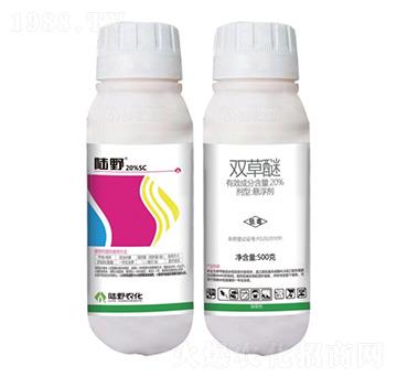 20%�p���ёҸ���-�