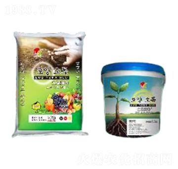 ��������-���������