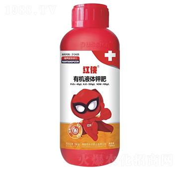 �t�b�D���S��ȼ���-��