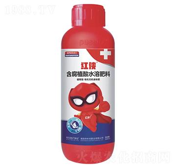 �t�b-����LЧ�Ŵ���-