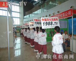 ��ƴ���M�е��׵��r�����̾W�F�