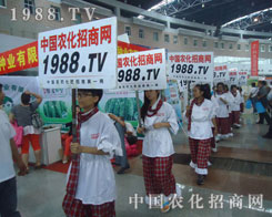 �^���Y�G�������r(n��ng)�Y���ϵ��r(n��ng)���W(w��ng)��(zh��n)ʿ