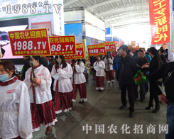 ��ʮ����ꖷ����p�����ϵ�С�۷�