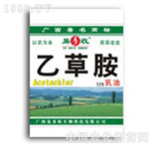 �׶���-�Ҳݰ����݄�