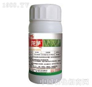 �I�r(n��ng)�Ƽ�-����(zh��ng)